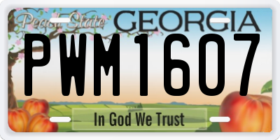 GA license plate PWM1607