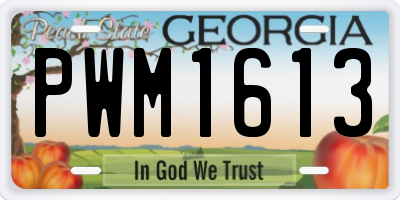 GA license plate PWM1613