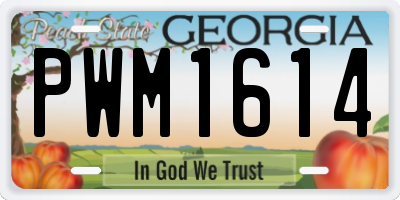 GA license plate PWM1614