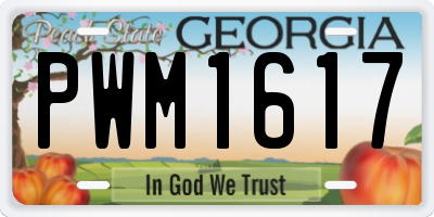 GA license plate PWM1617