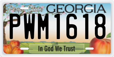 GA license plate PWM1618