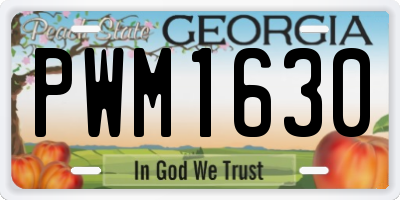 GA license plate PWM1630