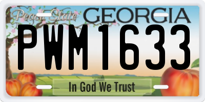 GA license plate PWM1633