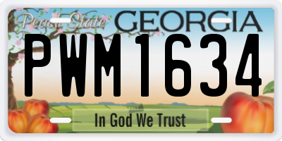 GA license plate PWM1634