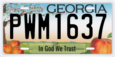 GA license plate PWM1637