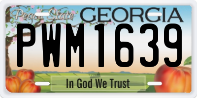 GA license plate PWM1639