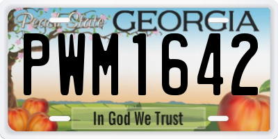GA license plate PWM1642