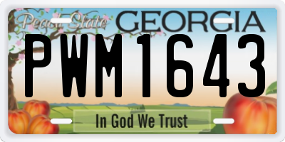 GA license plate PWM1643