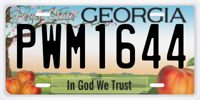 GA license plate PWM1644