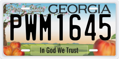 GA license plate PWM1645