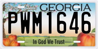 GA license plate PWM1646