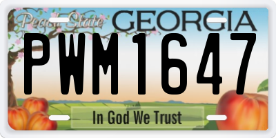 GA license plate PWM1647