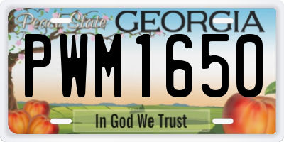 GA license plate PWM1650