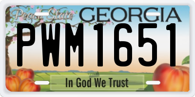 GA license plate PWM1651