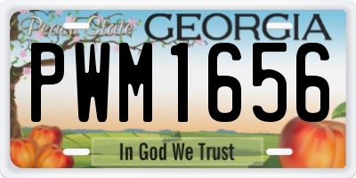 GA license plate PWM1656