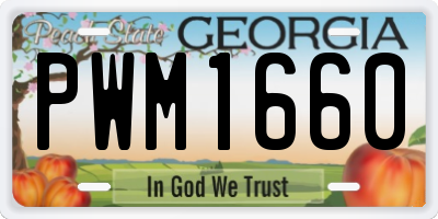 GA license plate PWM1660