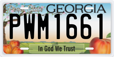 GA license plate PWM1661
