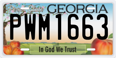 GA license plate PWM1663