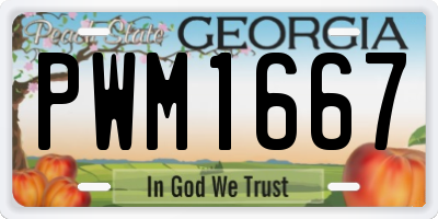 GA license plate PWM1667