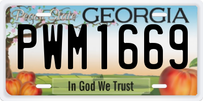 GA license plate PWM1669