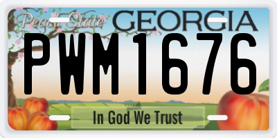 GA license plate PWM1676