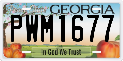 GA license plate PWM1677
