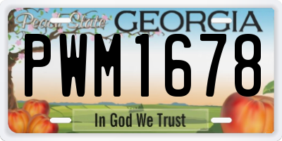 GA license plate PWM1678