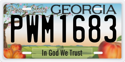 GA license plate PWM1683