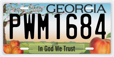 GA license plate PWM1684