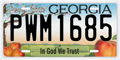 GA license plate PWM1685
