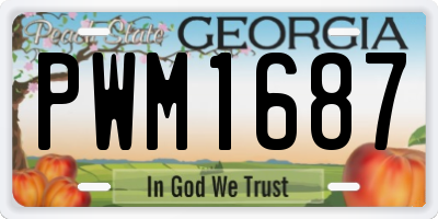 GA license plate PWM1687