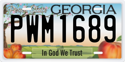 GA license plate PWM1689