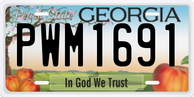 GA license plate PWM1691
