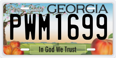 GA license plate PWM1699