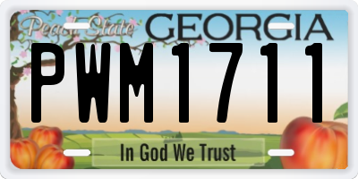 GA license plate PWM1711