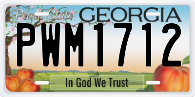 GA license plate PWM1712