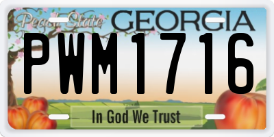 GA license plate PWM1716