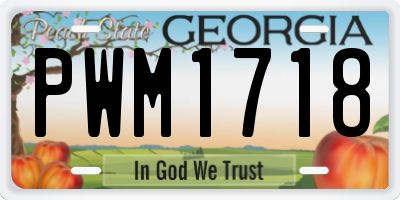 GA license plate PWM1718