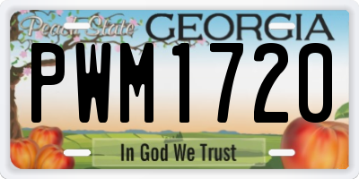GA license plate PWM1720