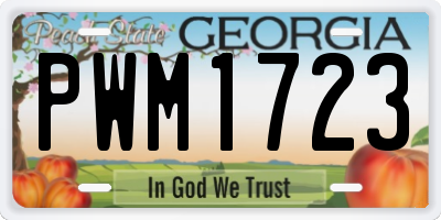GA license plate PWM1723