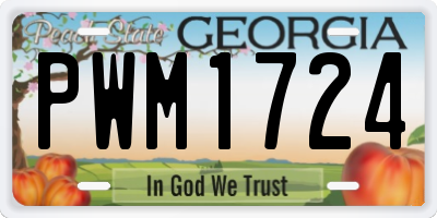 GA license plate PWM1724