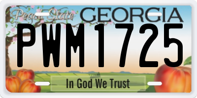 GA license plate PWM1725