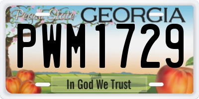 GA license plate PWM1729