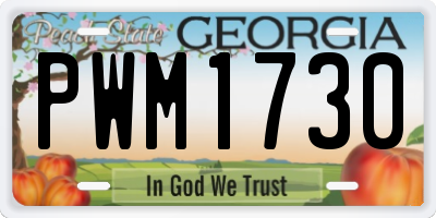 GA license plate PWM1730