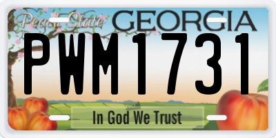 GA license plate PWM1731