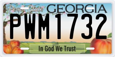 GA license plate PWM1732