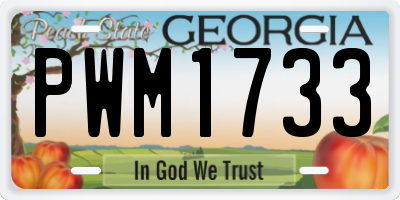 GA license plate PWM1733