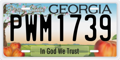 GA license plate PWM1739