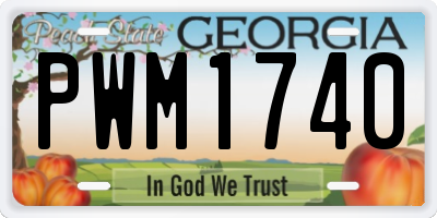 GA license plate PWM1740