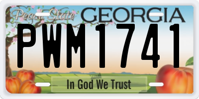 GA license plate PWM1741